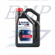 Olio Motul per motori fuoribordo 4T SAE 10W-40 semi sintetico 5lt