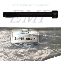 kit Bulloni Testata FNM 3.116.402.1