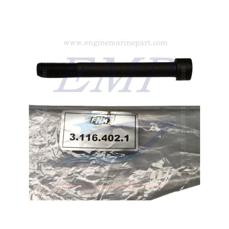 kit Bulloni Testata FNM 3.116.402.1