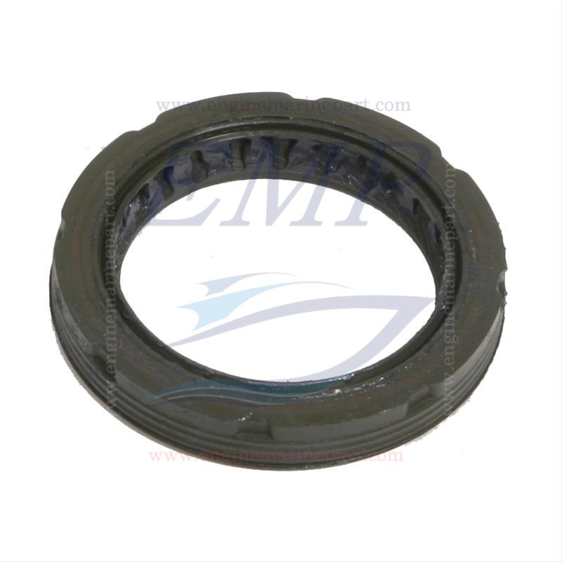 Paraolio carter distribuzione Mercruiser 888779