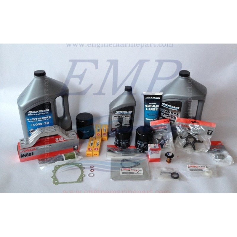 Kit tagliando Oyster 4,5,6, SELVA