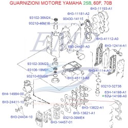 Guarnizioni motore Yamaha Marine 25B, 60F, 70B