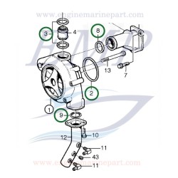 Gommino pompa acqua Volvo Penta 469982