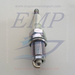 Candela Ngk  ZFR6K-11