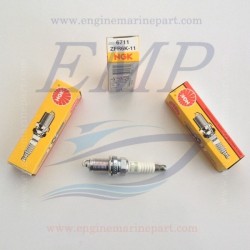 Candela Ngk  ZFR6K-11