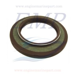 Paraolio piede Volvo Penta, OMC 3852901