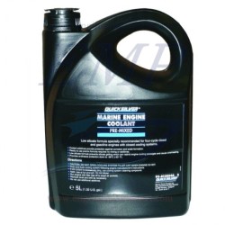 Refrigerante/Antigelo 8M0056173 5lt