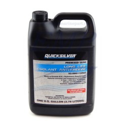 Refrigerante Antigelo long life premix 8M0110567 4lt