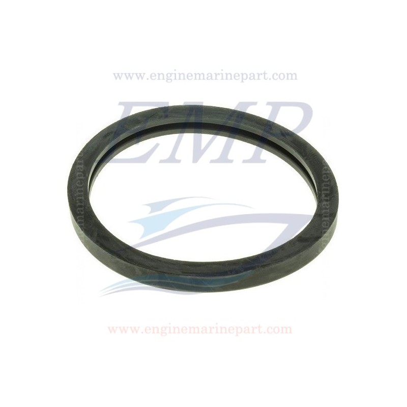 Guarnizione termostato Volvo Penta EMP 416033