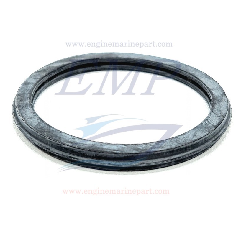Guarnizione termostato Volvo Penta  418361, 416033