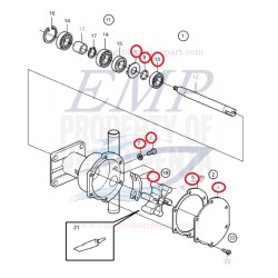 Kit revisione pompa acqua 3593654 Volvo Penta 24744859