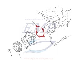 Guarnizione pompa acqua centrifuga Mercruiser EMP 882464