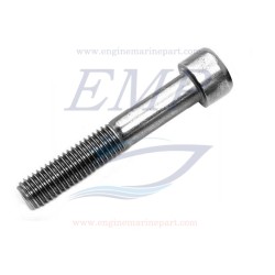 Vite a brucola piastra collettore scarico FNM 4.116.223.1