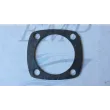 Guarnizione ammortizzatore motore 2 tempi Selva 1118 / 3540070