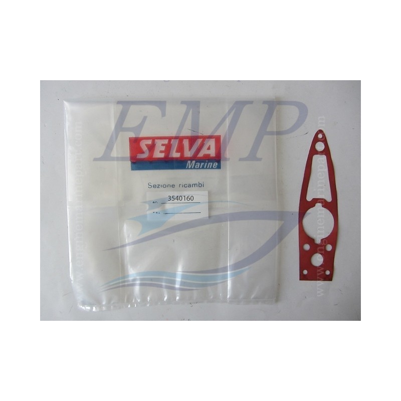 Guarnizione piede motore Selva 2t 05947.00.82 / 3540160