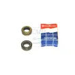Paraolio Johnson / Evinrude  0303345