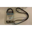 Cinghia alternatore Mercury 828507Q01