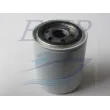 Filtro Benzina Johnson, Evinrude, Omc EMP 0174144, 0502905