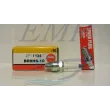 Candela Ngk  BR8HS-10