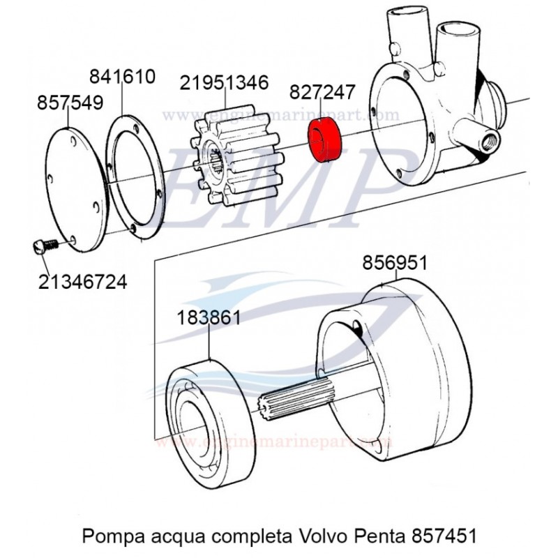 Paraolio pompa acqua Volvo Penta 827247