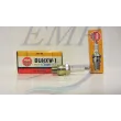 Candela Ngk  BUHXW-1