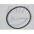 Oring base pompa acqua OMC EMP 3852531