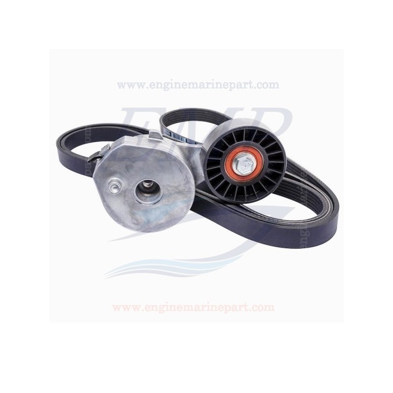 Cinghie servizi e componenti Suzuki Marine