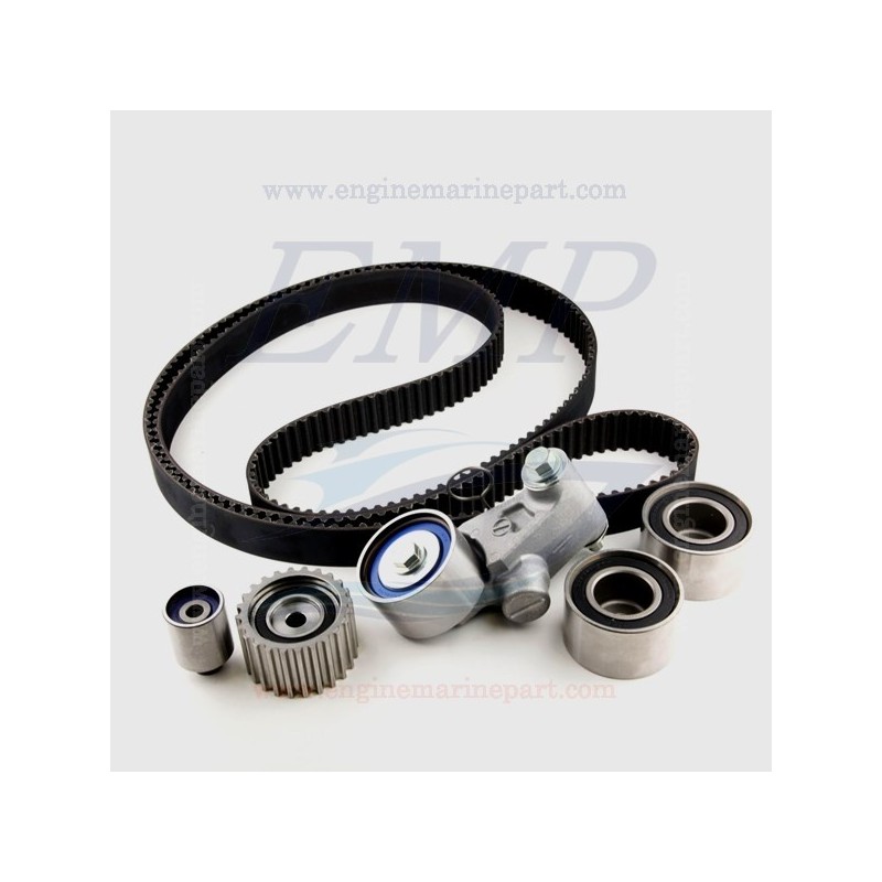 Cinghie Distribuzione  Volvo Penta