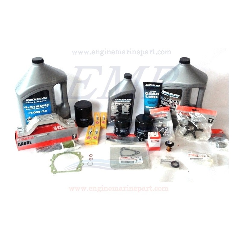 EFI 4T Tagliandi Selva 