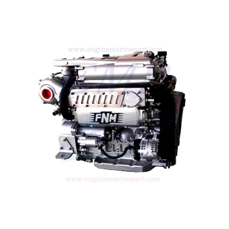  30HPE225 FNM 2998cc Ricambi motore 