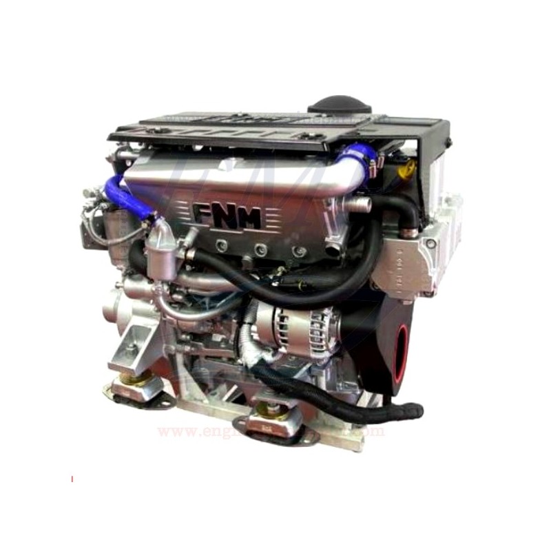 13HPE135 FNM 1248cc Ricambi motore
