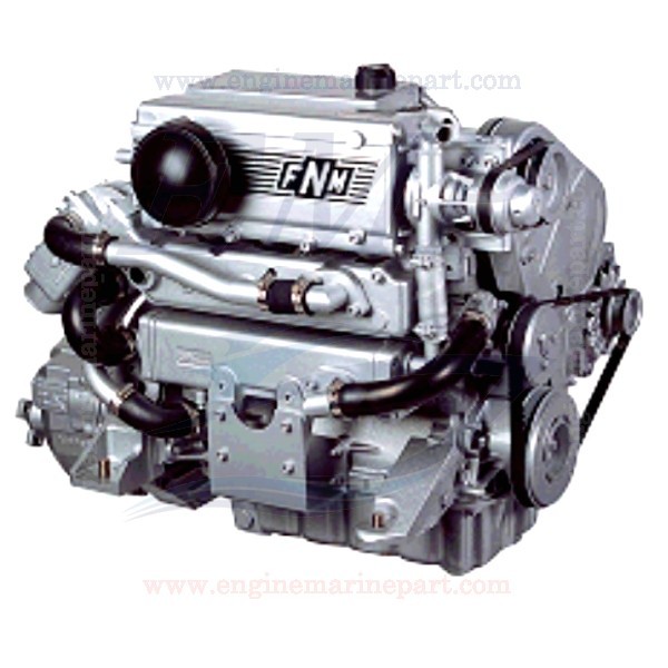 AM45SP FNM 1366cc Ricambi motori