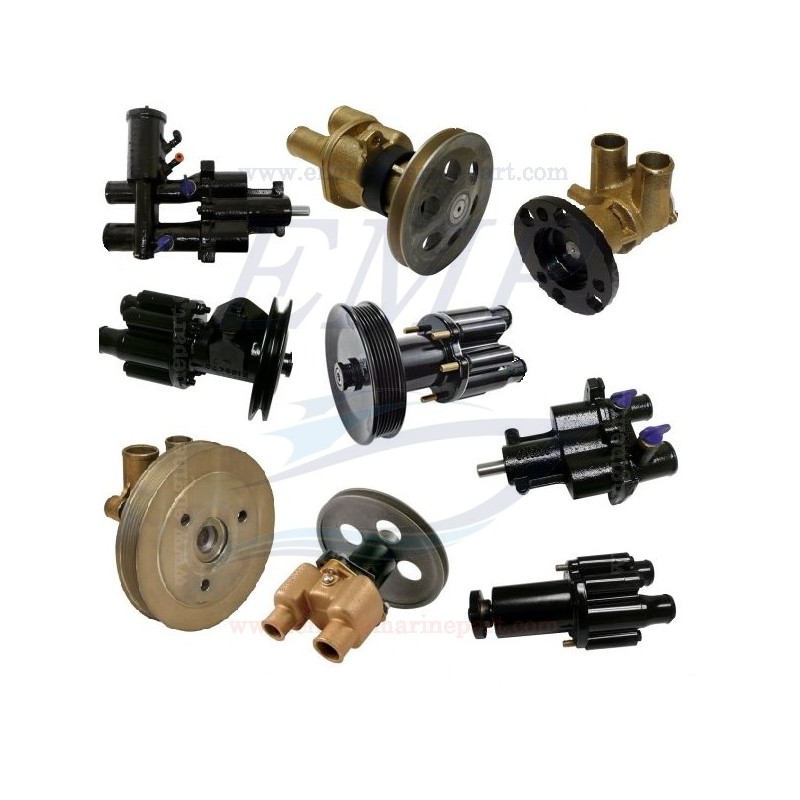 Pompa acqua di mare FNM